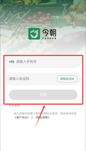 今朝安装包下载