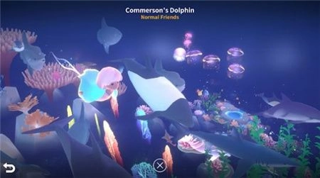 深海庭院中文版截图0