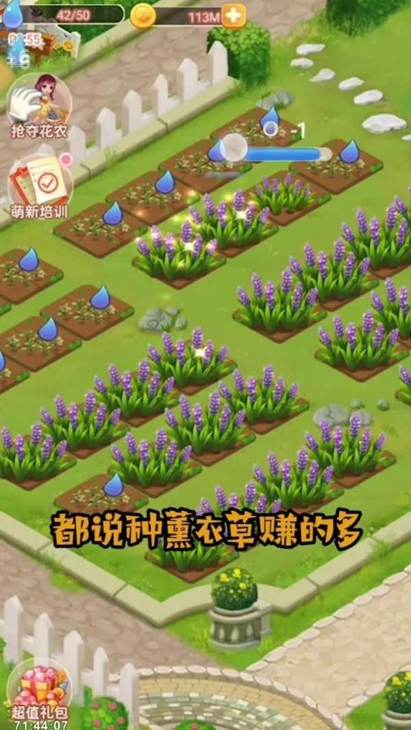 恋与花园截图2