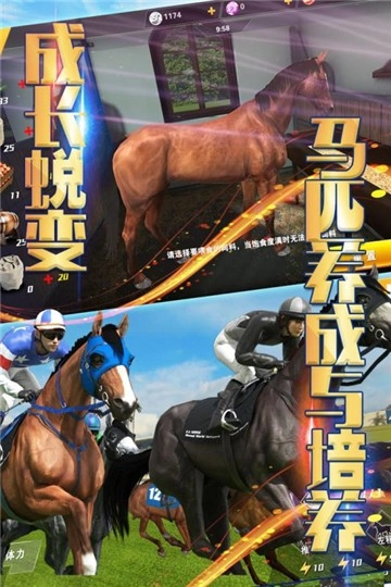 相马大师截图2