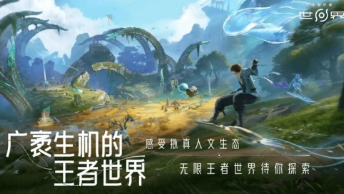 云王者荣耀世界截图1