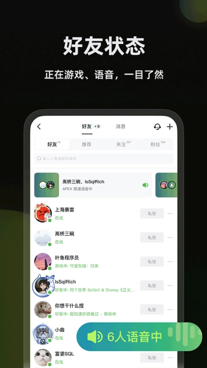 黑盒语音安卓版截图3