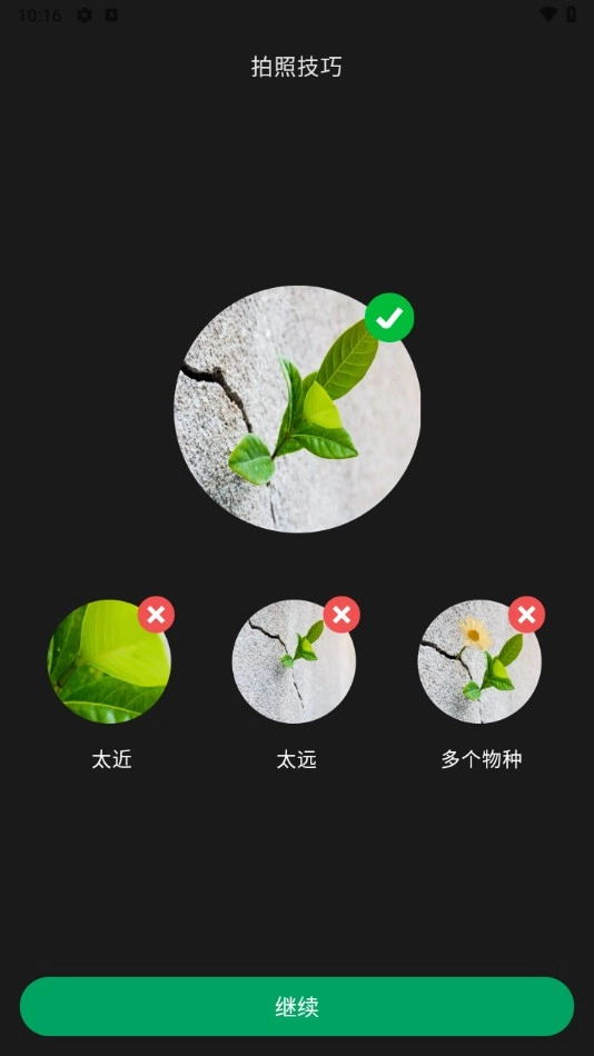 PictureThis安卓版下载