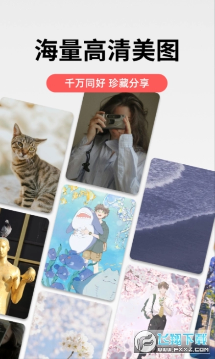堆糖安卓版安装下载