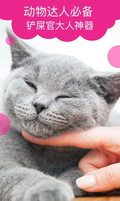 猫语翻译截图2