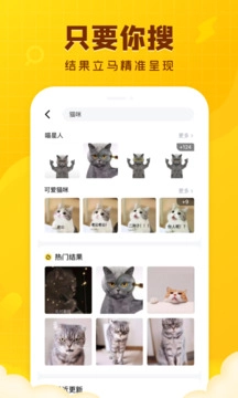 闪萌表情免费版截图2