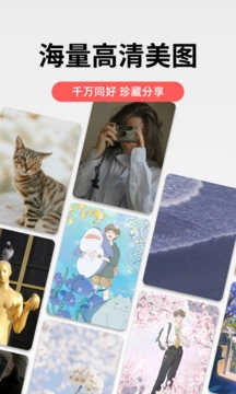 堆糖安卓版截图3