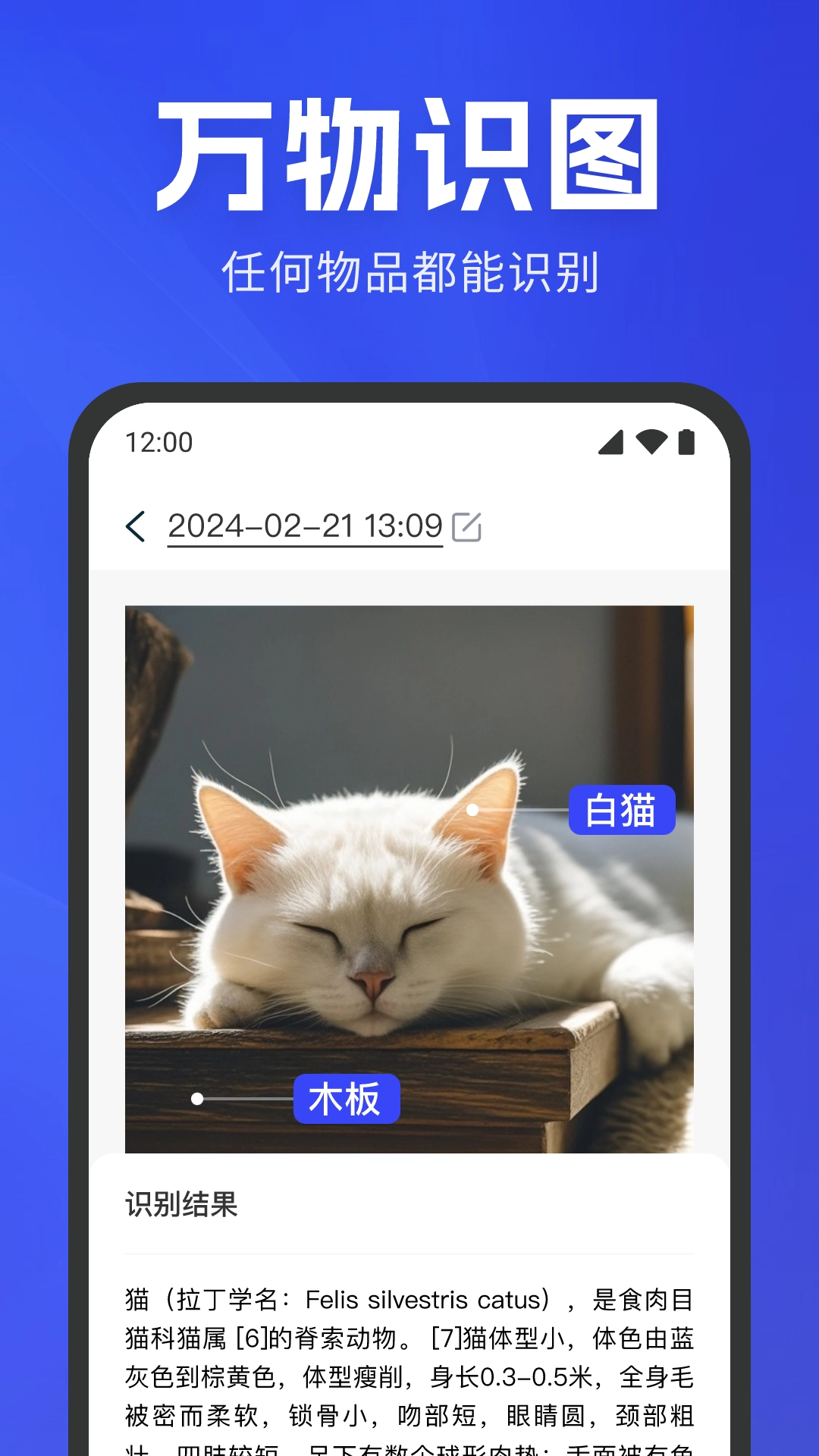 手机扫描识别截图2