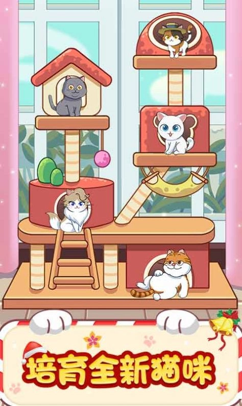 猫咪房东截图0