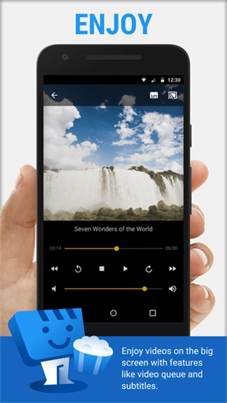 WebVideoCaster截图0