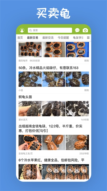 龟友天下截图0