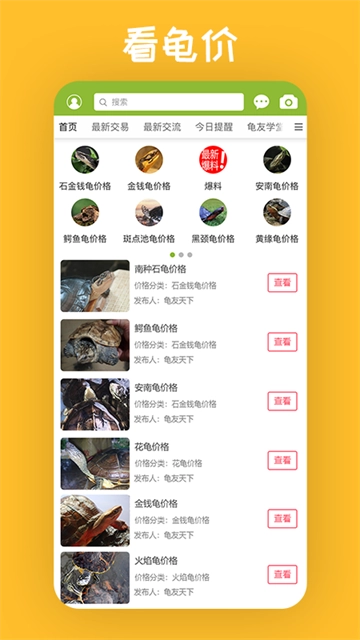 龟友天下截图3