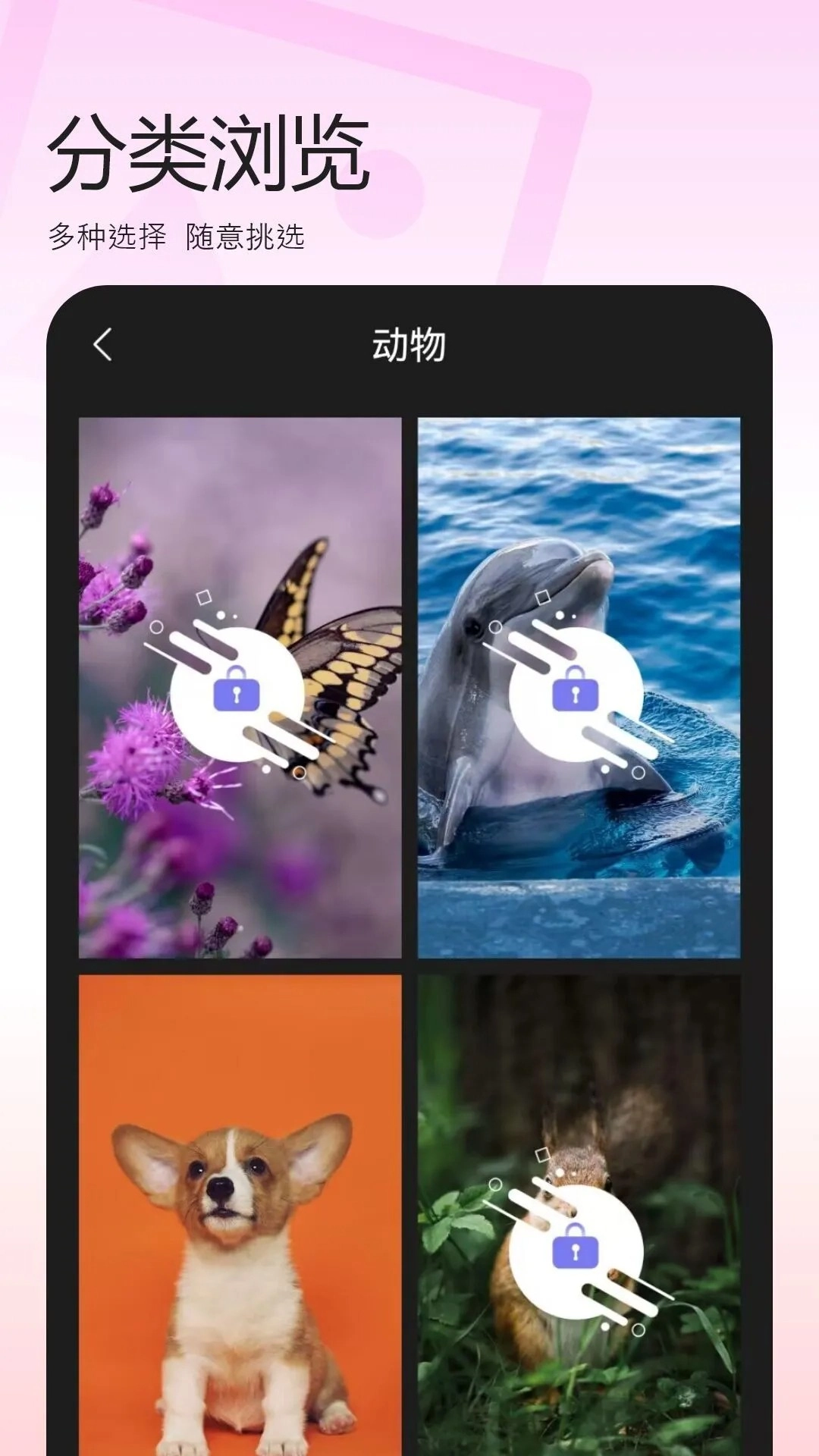 百变换壁纸免费版截图1