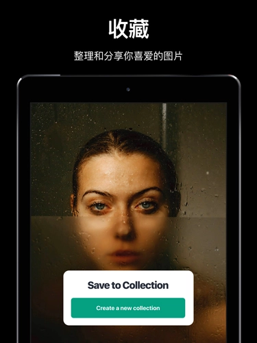Pexels截图4