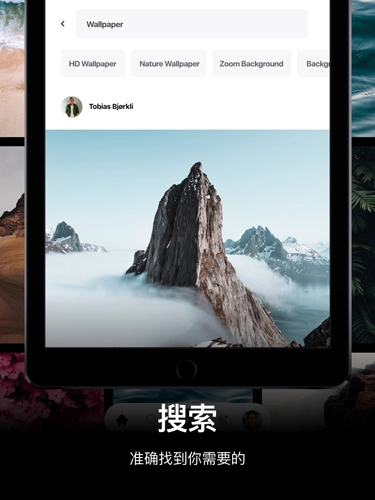 Pexels截图2