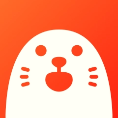 软件:HOLLA
