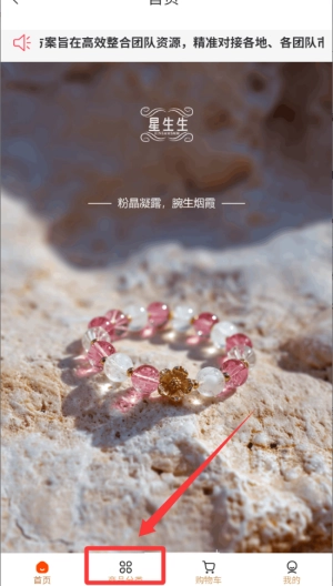 星生生完整版下载