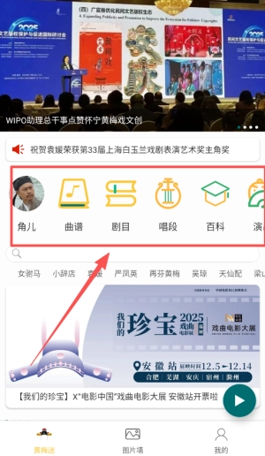 黄梅迷安装包下载