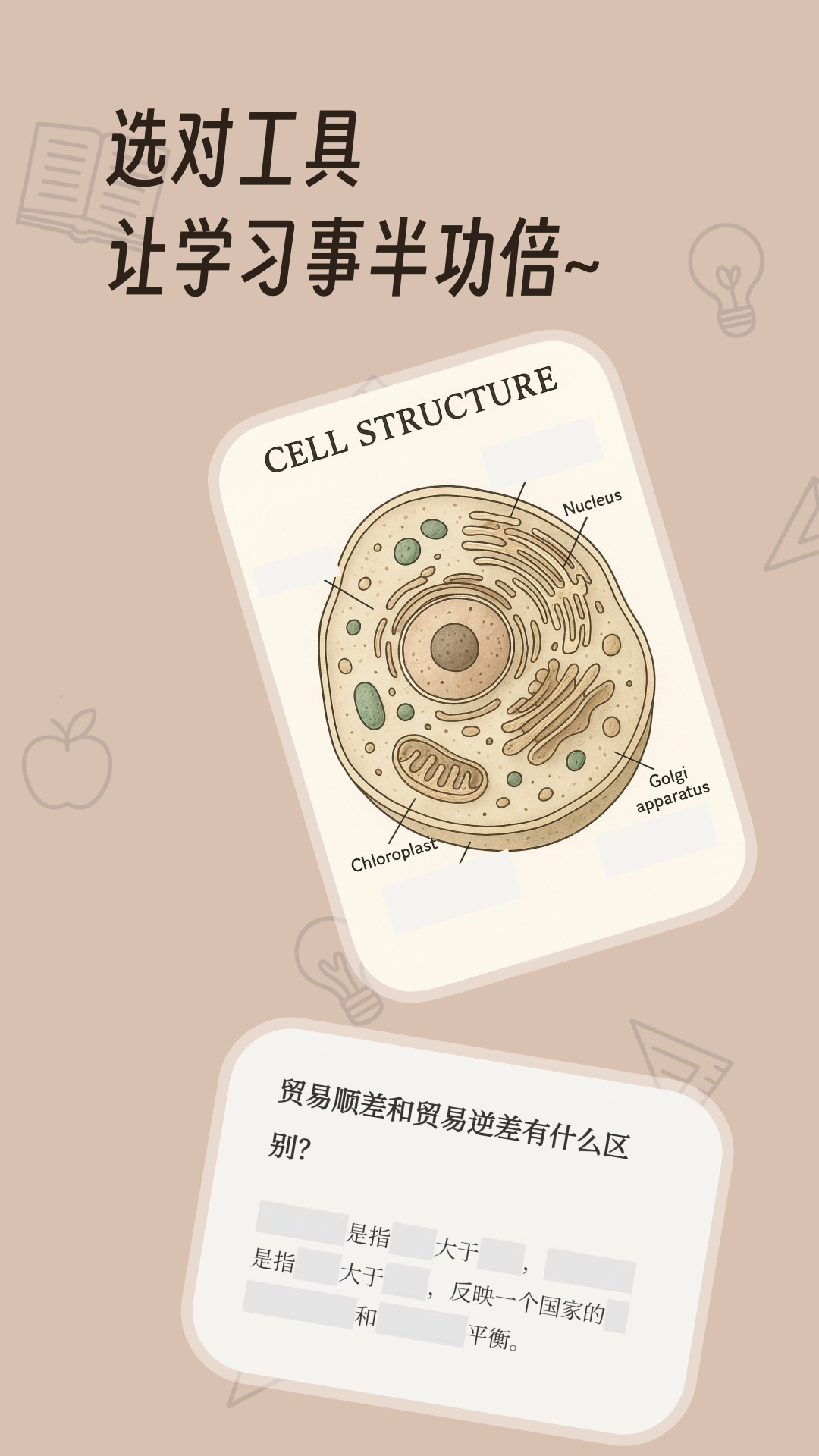 noolingo截图4