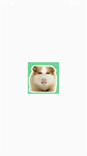 猪妞语音盒免费最新版截图1