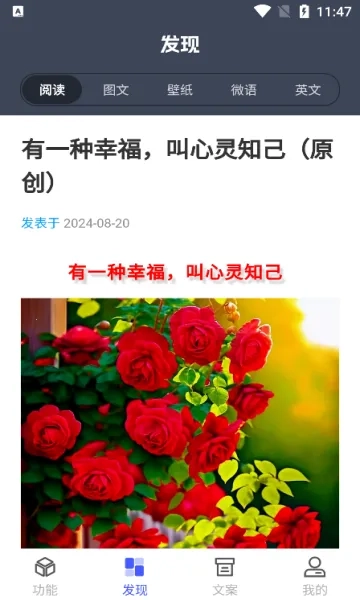 智汇盒子  手机版截图1