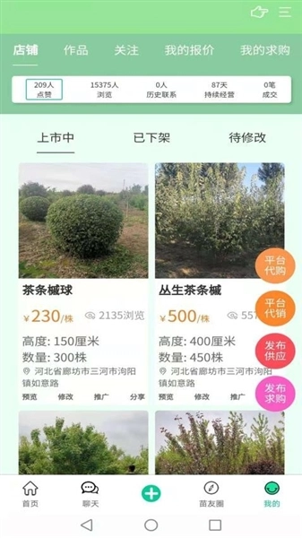 苗木人截图0