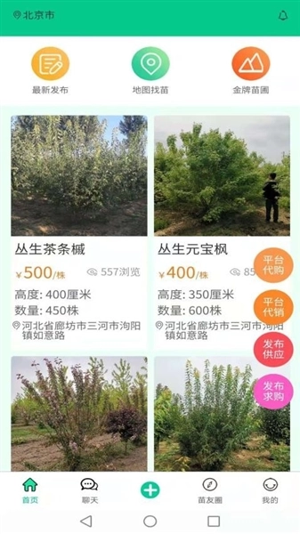 苗木人截图4