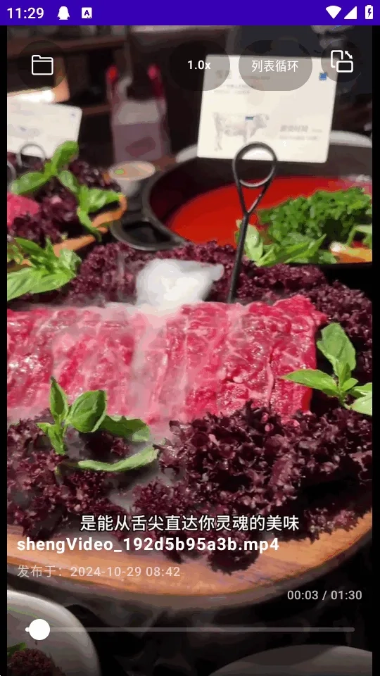 TikAlbum(本地视频播放器)  安卓版截图3
