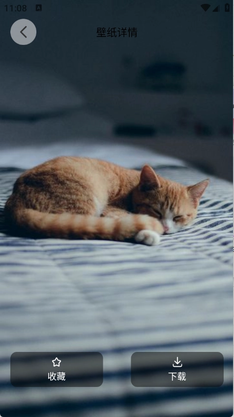 萌猫派对壁纸安卓版截图2