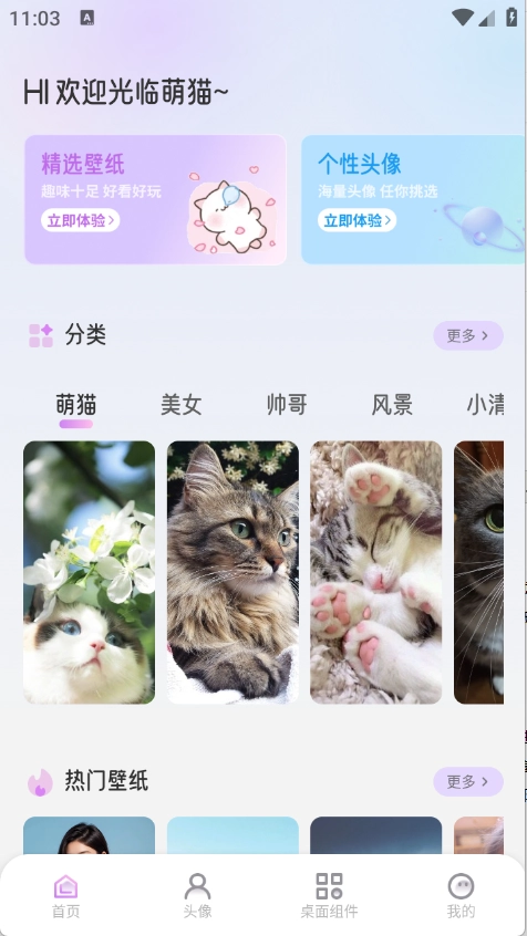 萌猫派对壁纸安卓版手机下载