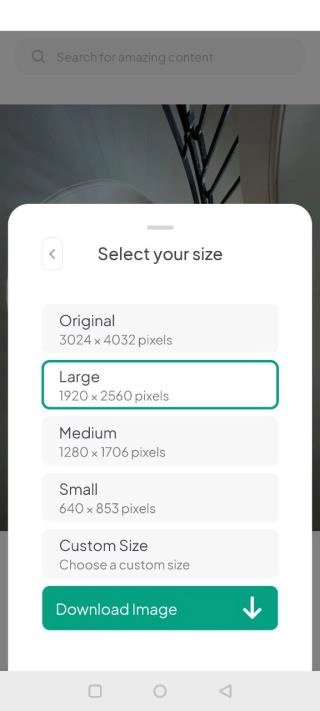 pexels免费素材网最新下载