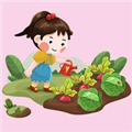 绿色农场正版