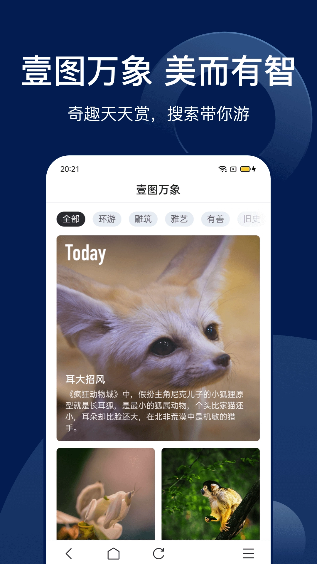 Bingo最新版截图3