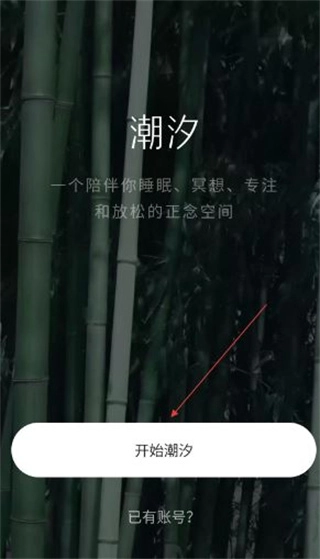 潮汐正版下载