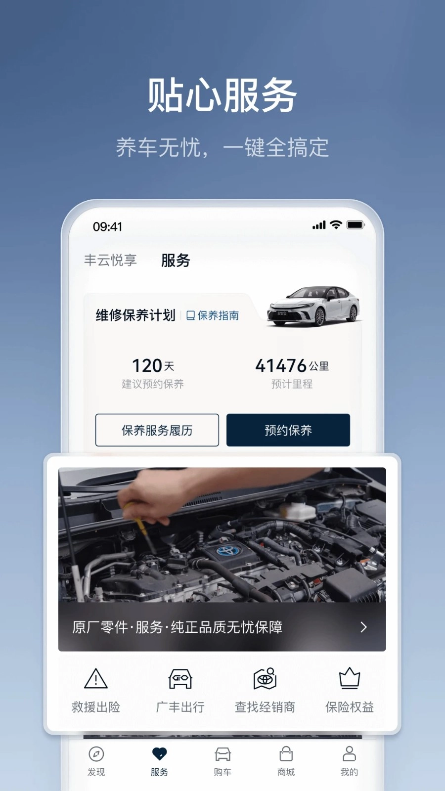 丰云行安卓版截图3