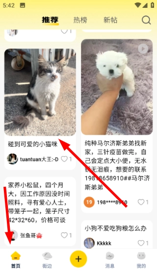 宠物街手机版下载