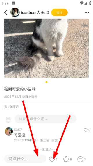 宠物街手机版下载