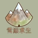 雪巅求生游戏