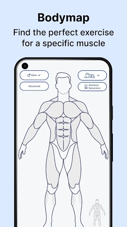 MuscleWiki安卓  最新版截图4