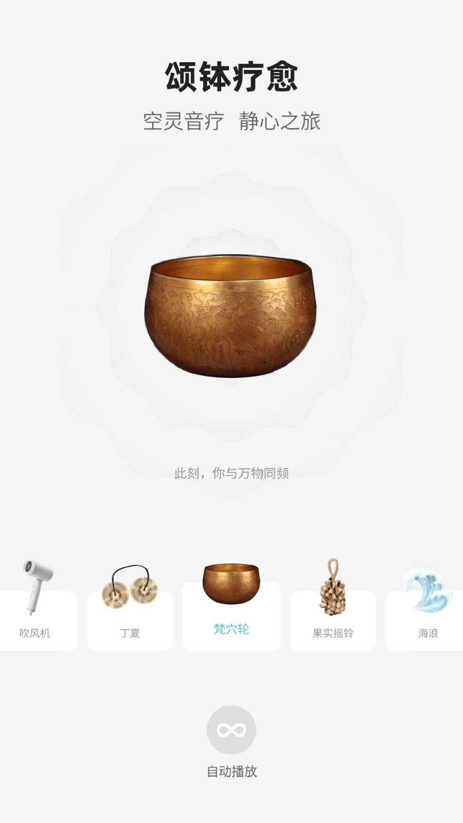 梵花田截图3