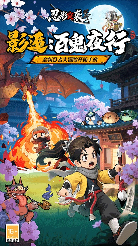 忍影突袭截图1