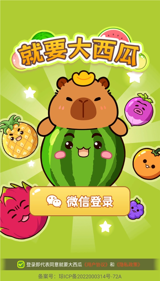 就要大西瓜截图1