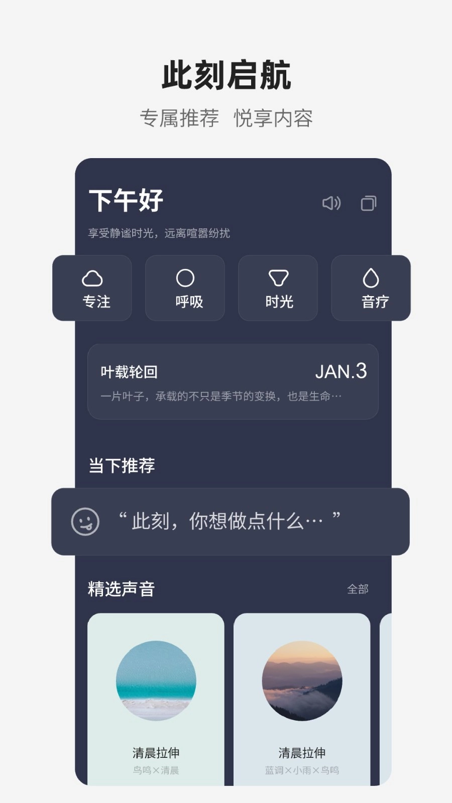 梵花田截图4