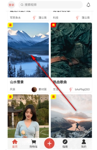 蒲公英素材截图5