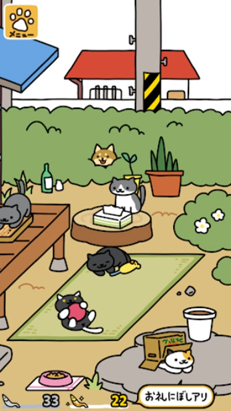 猫咪后院2国际服截图0
