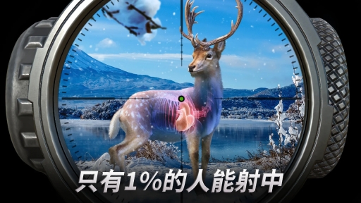 狩猎冲突游戏截图0