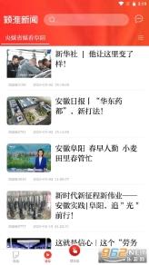 颍淮新闻截图3