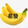 易發TV(电视直播软件) LIVE 免费版