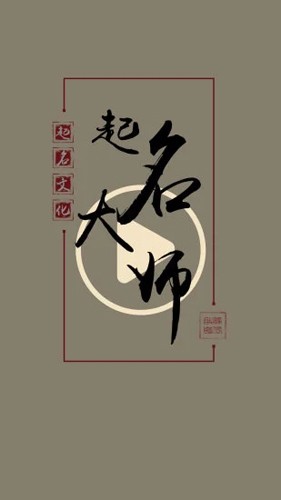 起名取名大师最新版截图4