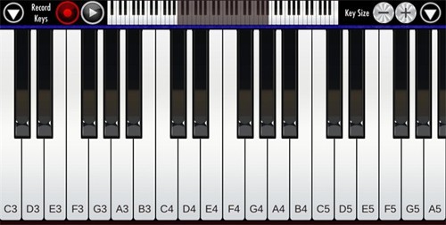 RealPiano安卓版截图2